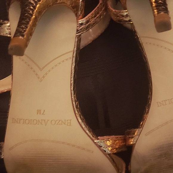 Endo angiolini - Picture 4 of 4